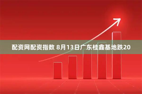 配资网配资指数 8月13日广东桂鑫基地跌20
